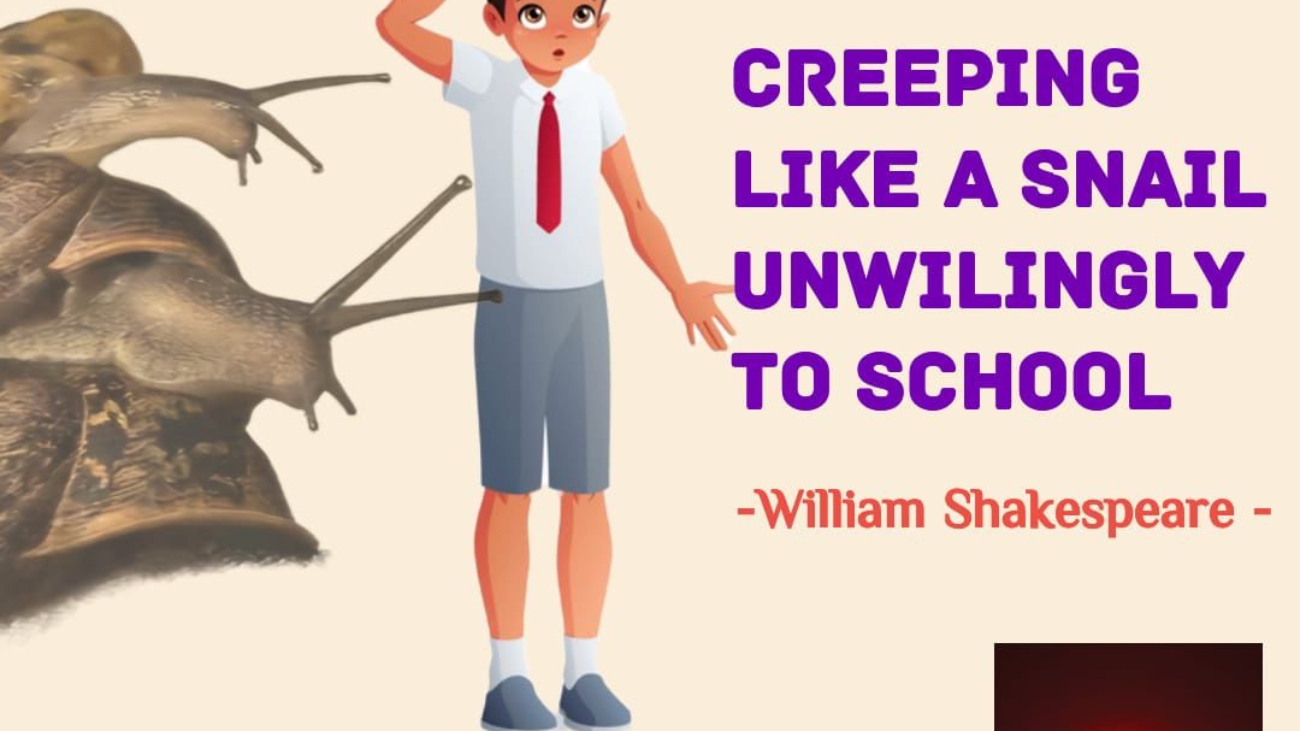 1f798051-1176-4d19-8e6a-e2c229fb6e76