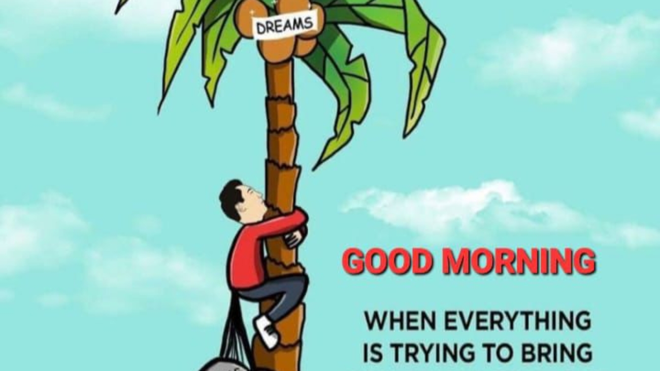 79a0d2c8-8d20-43df-a33b-0b20a31f1068